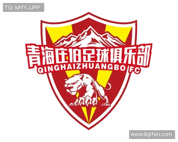青海庄伯足球俱乐部崛起之路探索与发展新篇章
